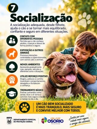 DEPA de Osório Alerta para os Cuidados com Cães de Grande Porte: Responsabilidade, Prevenção e Segurança 19 7