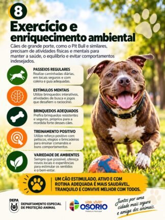 DEPA de Osório Alerta para os Cuidados com Cães de Grande Porte: Responsabilidade, Prevenção e Segurança 20 8