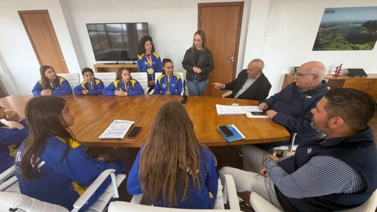 Atletas de Osório conquistam Medalhas no Campeonato Sul-Americano de Pole e Acrobacias Aéreas em São Paulo 6 837953291 1635815661244746 5634725129530339573 n
