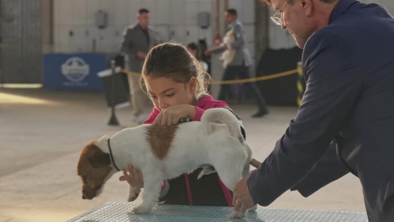 Tramandaí recebeu um fim de semana especial para os apaixonados por cães!