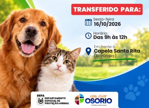Vacinação Antirrábica para Cães e Gatos  na Borússia é Adiada para o Dia 16 de Outubro