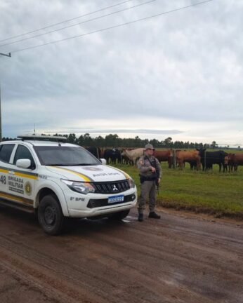 BRIGADA MILITAR REALIZA OPERAÇÃO COMBATE AO ABIGEATO IV EM OSÓRIO 2 843315437 2246439792567019 6855371602499431894 n