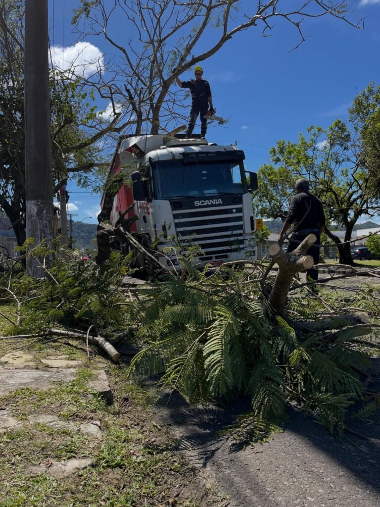 Caminhão fica preso em árvore e mobiliza Bombeiros no bairro Glória, em Osório