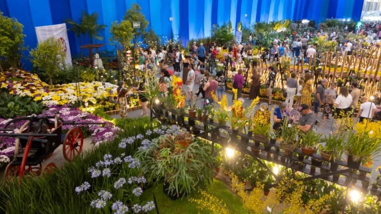 86ª Festa das Flores de Joinville terá exposição com mais de 30 mil flores e plantas ornamentais, passarela elevada e obras de arte 5 86a festa das flores de joinville tera exposicao com mais de 30 mil flores e plantas ornam 3