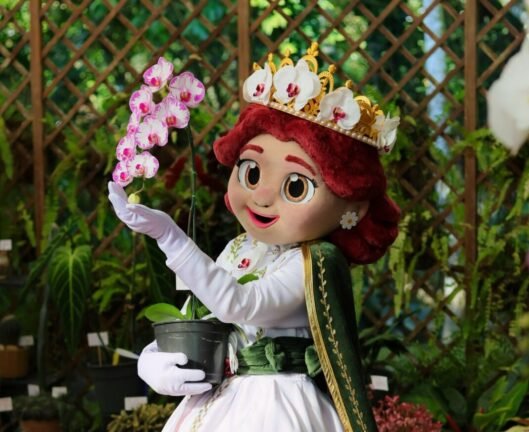 Festa das Flores apresenta nova mascote que homenageia a orquídea símbolo de Joinville