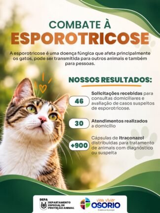 DEPA Divulga Ações de Combate à Esporotricose Realizadas no Mês de Outubro em Osório