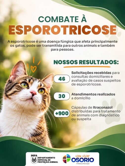 DEPA Divulga Ações de Combate à Esporotricose Realizadas no Mês de Outubro em Osório