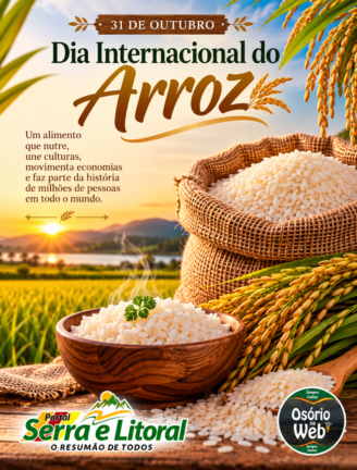 Dia Internacional do Arroz: Conheça 5 contribuições importantes do grão para a alimentação global