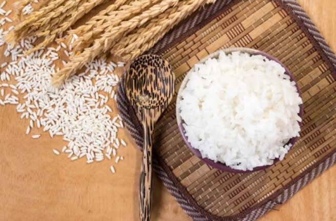 Dia Internacional do Arroz: Conheça 5 contribuições importantes do grão para a alimentação global 3 dia internacional do arroz conheca 5 contribuicoes importantes do grao para a alimentacao