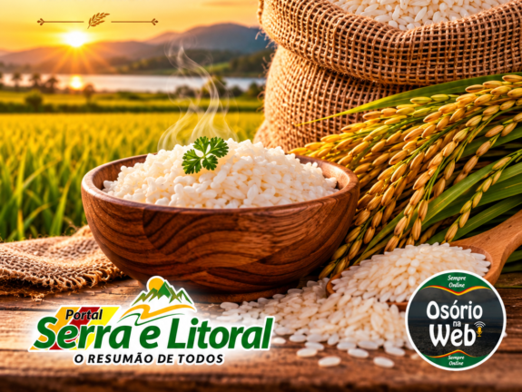 Dia Internacional do Arroz: Conheça 5 contribuições importantes do grão para a alimentação global