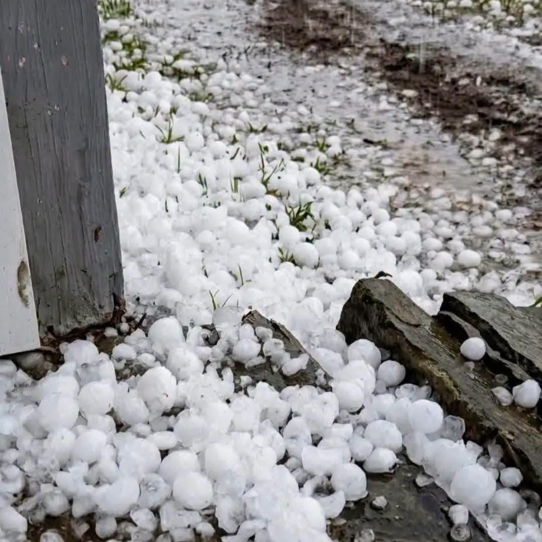 Granizo cai sem nenhum gota de Chuva em Santa Helena, no Oeste do Paraná 1 Granizo cai sem nenhum gota de Chuva em Santa Helena, no Oeste do Paraná