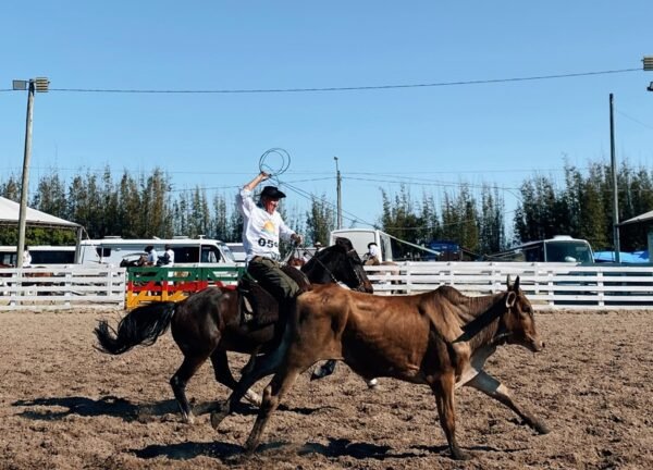 3ª Festa Campeira de Tramandaí começou nesta Quinta-feira com quatro dias de programação e shows gratuitos