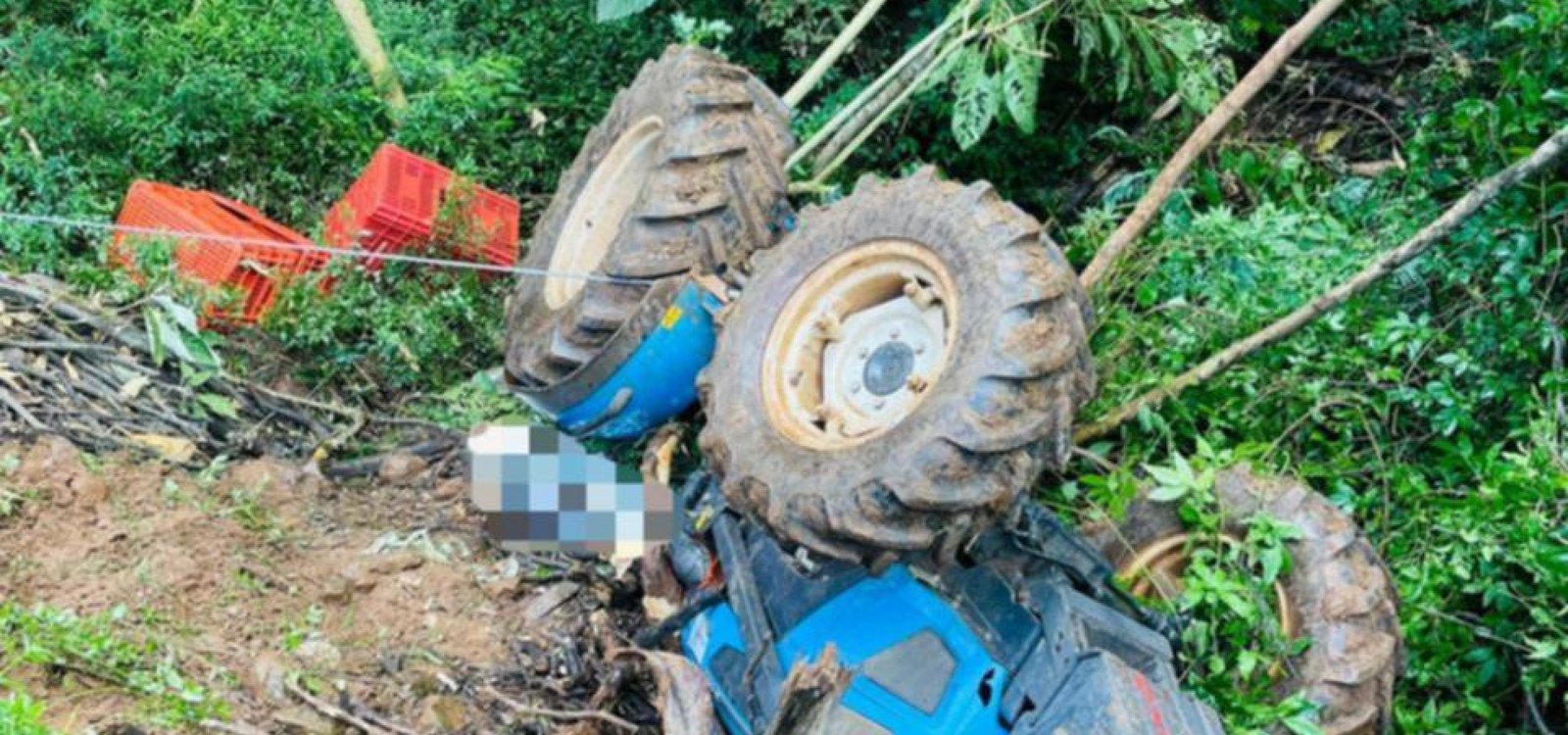 126f32cd-46ea-40b6-8665-359c5ccade43 (1)