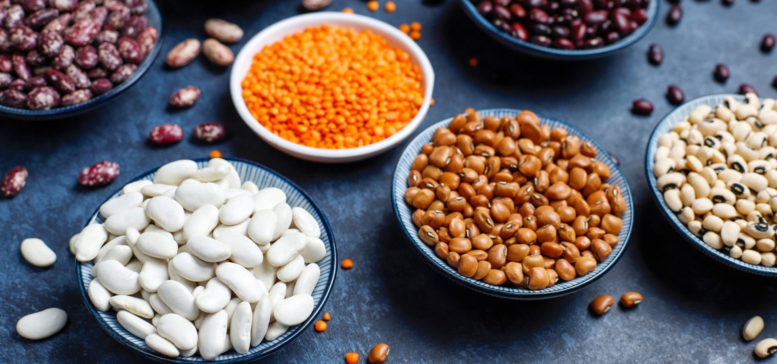 17ea8e8c-4386-4b2a-b96b-e4bd9d3566b3