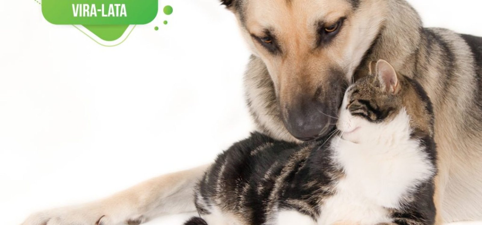 25.07-Dia-Internacional-do-Agricultor-Familiar-_-2025-1024x1024