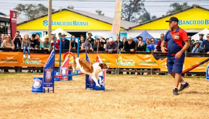 Os cachorros também são adestrados para auxiliar no tratamento de crianças com transtorno do espectro autista.

Foto: João Pedro Rodrigues. /Ascom Expointer