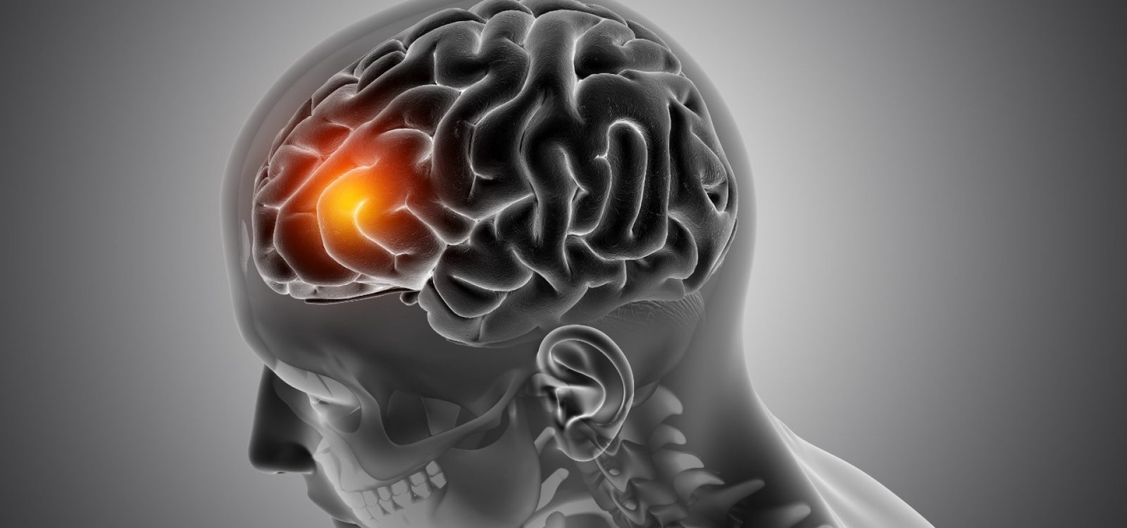 30c121e0-6ee4-4ff0-998a-208efb9c32a1 30c121e0-6ee4-4ff0-998a-208efb9c32a1