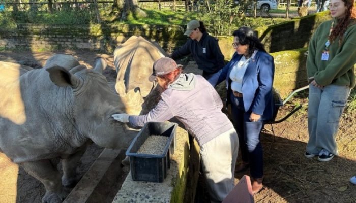 Reabertura contou com ingresso gratuito e atividades especiais com os animais, como enriquecimento ambiental. - Foto: Divulgação/Sema