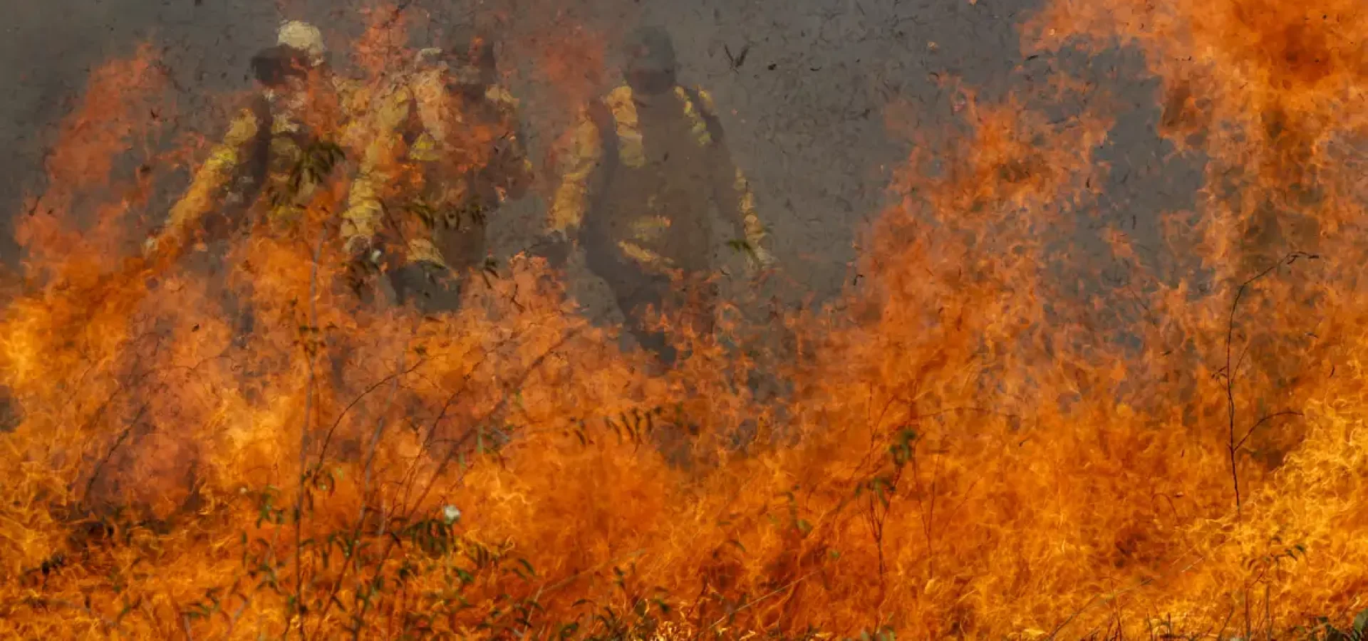 Joédson Alves / Agência Brasil