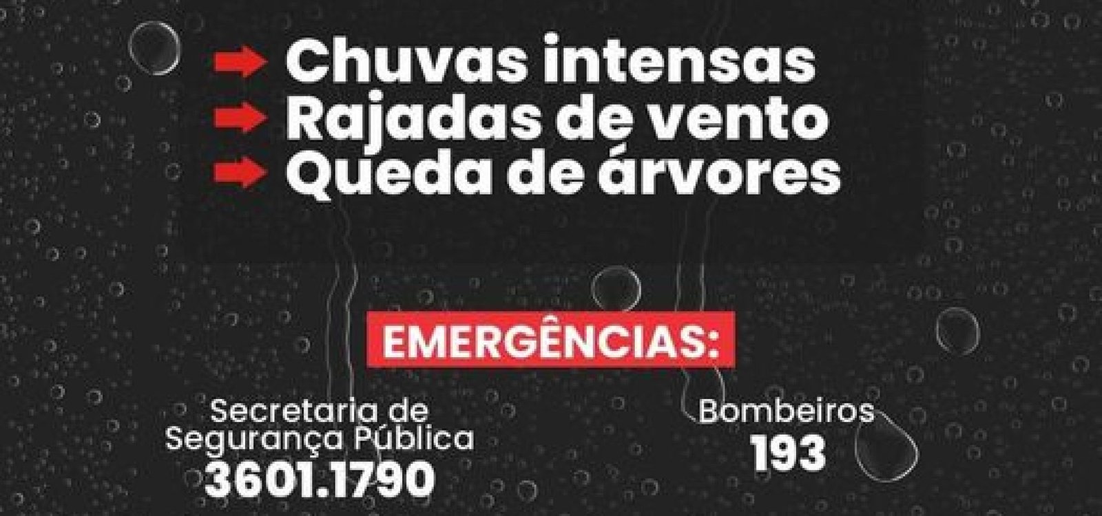 396236806_736087865226450_45875155588556771_n