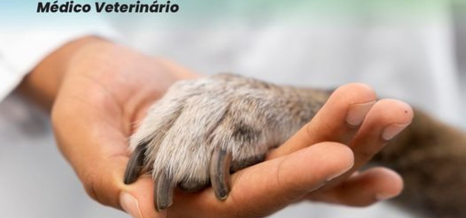 396718642_735227138645856_6144301371235076700_n