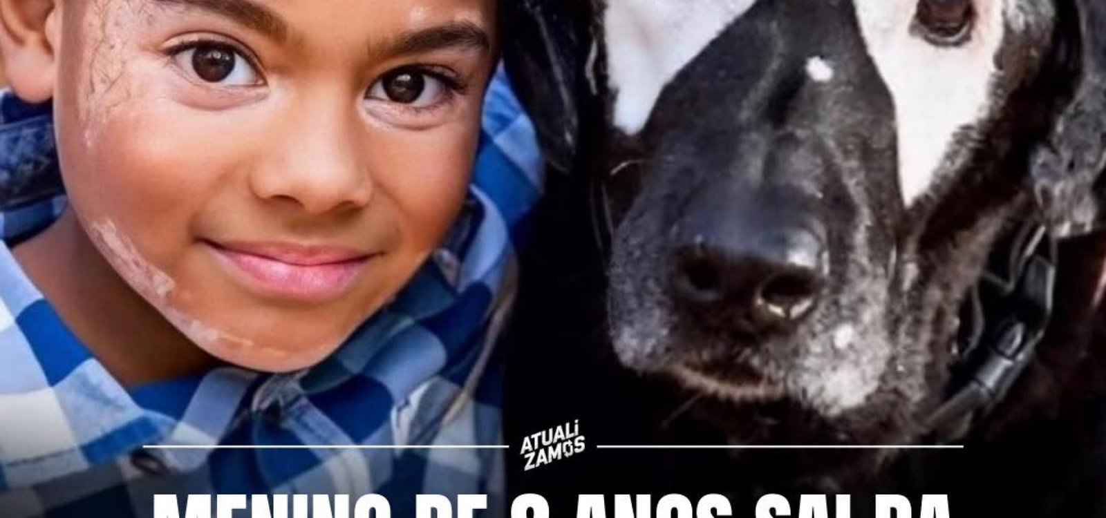 3e446ee6-30bb-42ee-9701-c117f02fcdb4