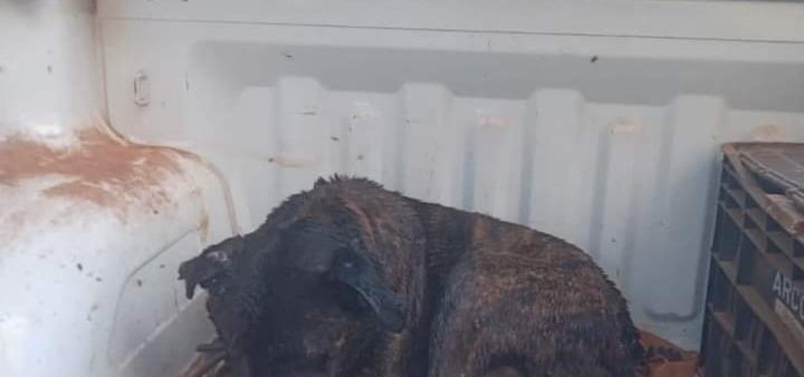 3º Batalhão Ambiental da Brigada Militar