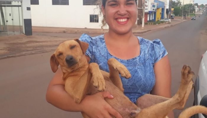 Cachorro fiel esperou por quase 7 horas por sua dona que fazia Enem na porta da escola