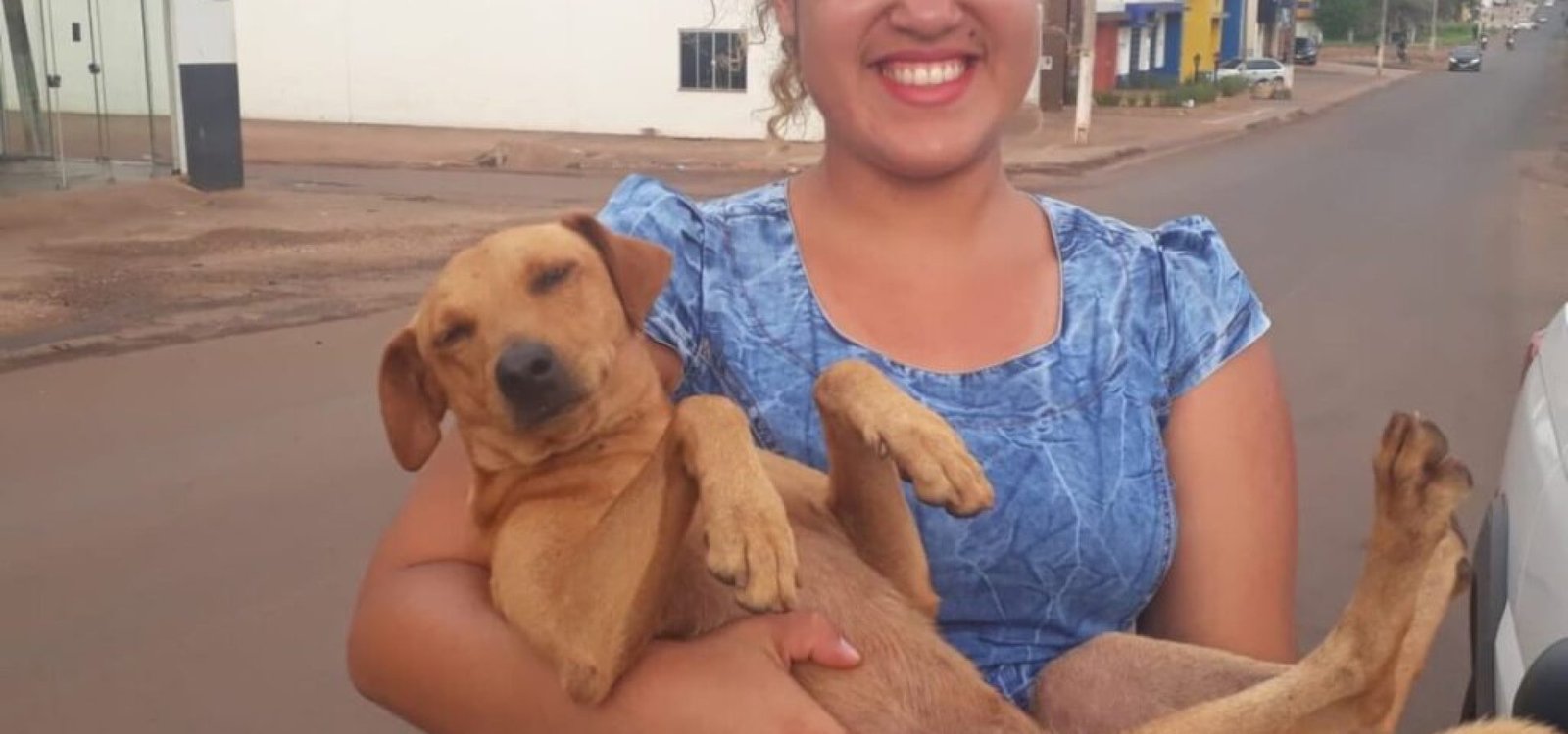 Cachorro fiel esperou por quase 7 horas por sua dona que fazia Enem na porta da escola Cachorro fiel esperou por quase 7 horas por sua dona que fazia Enem na porta da escola