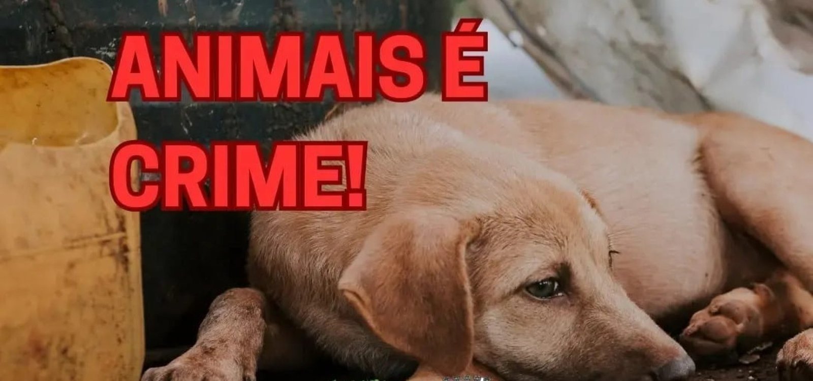 401581866_741043684736158_6485575556871028037_n