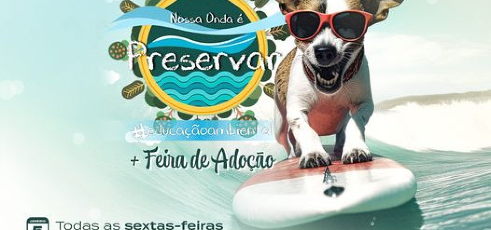 415053848_388112783776869_2518984547740876748_n