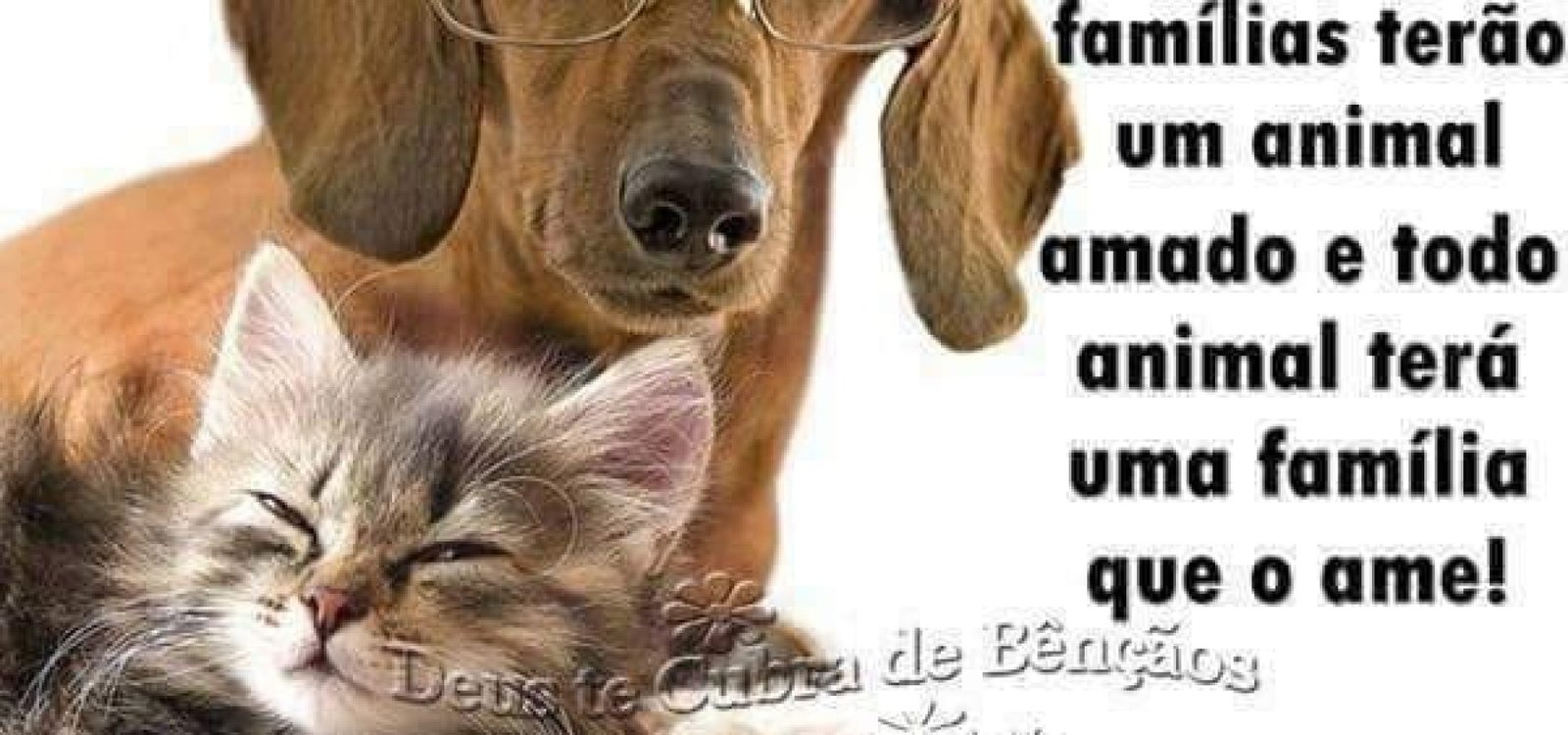 432333840_923146712626008_4186602257032443600_n