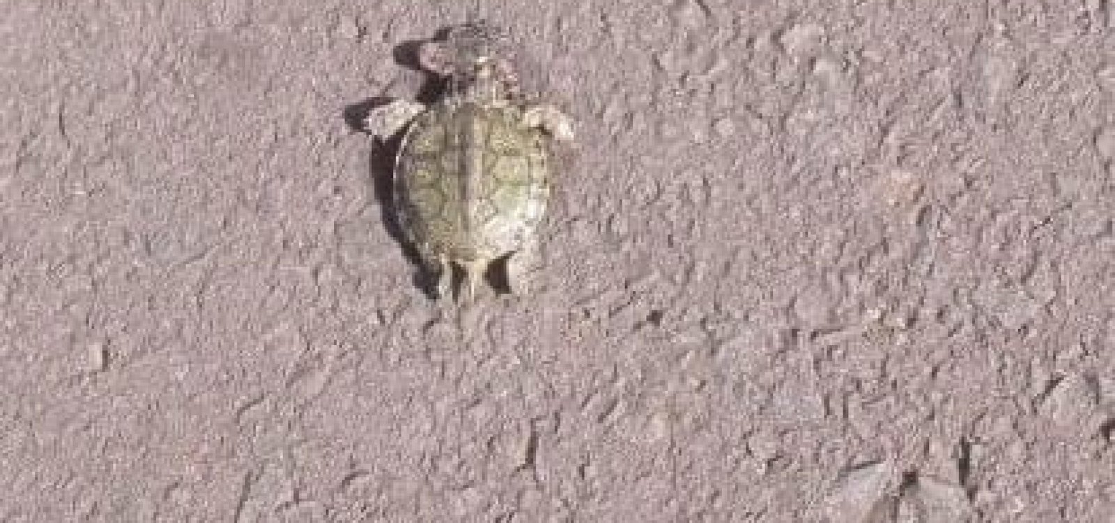 447213533_7387574148007582_4278127286137894126_n