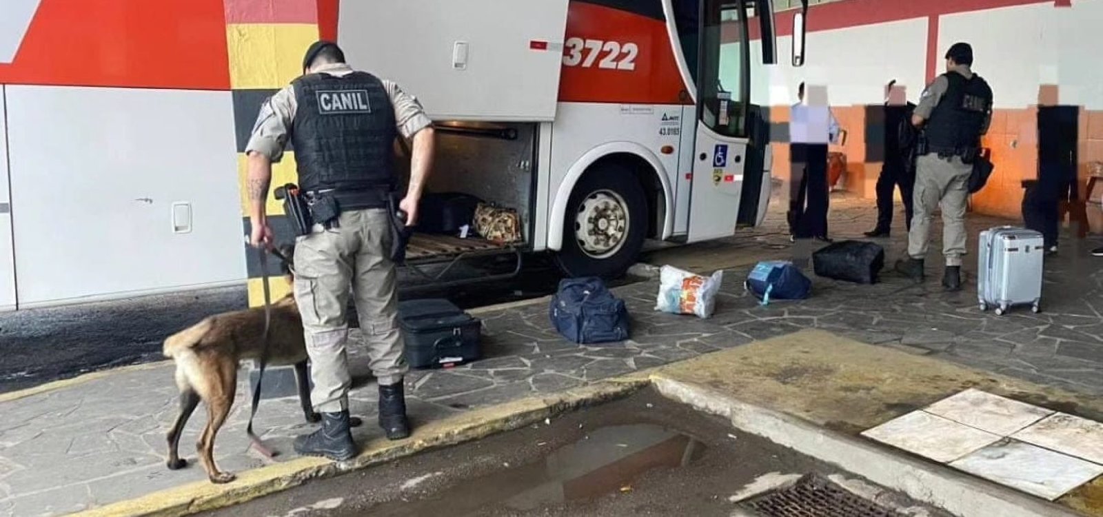 448653102_7445294642235532_7559753079725376161_n