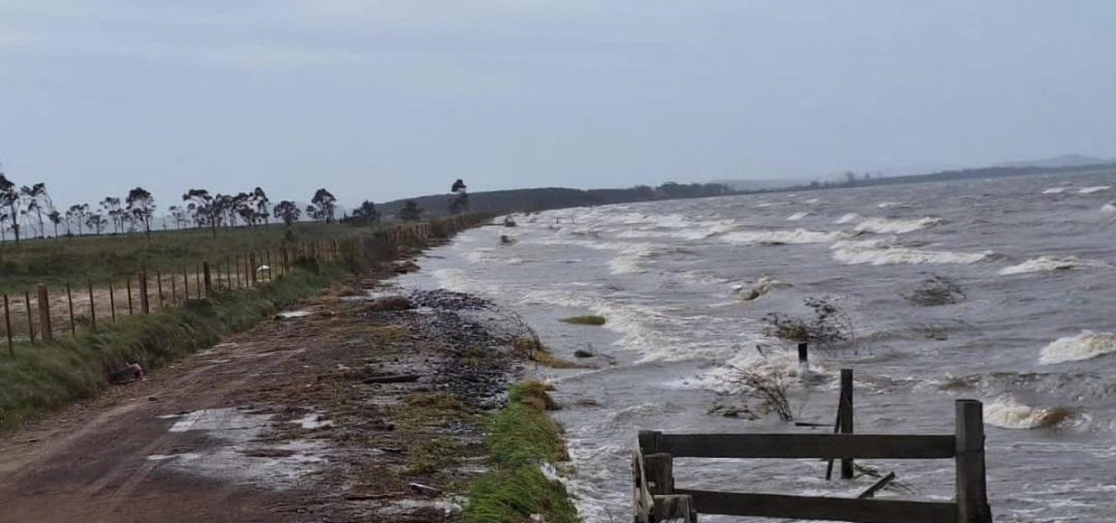 463123836_8211219012309754_793523267119741665_n