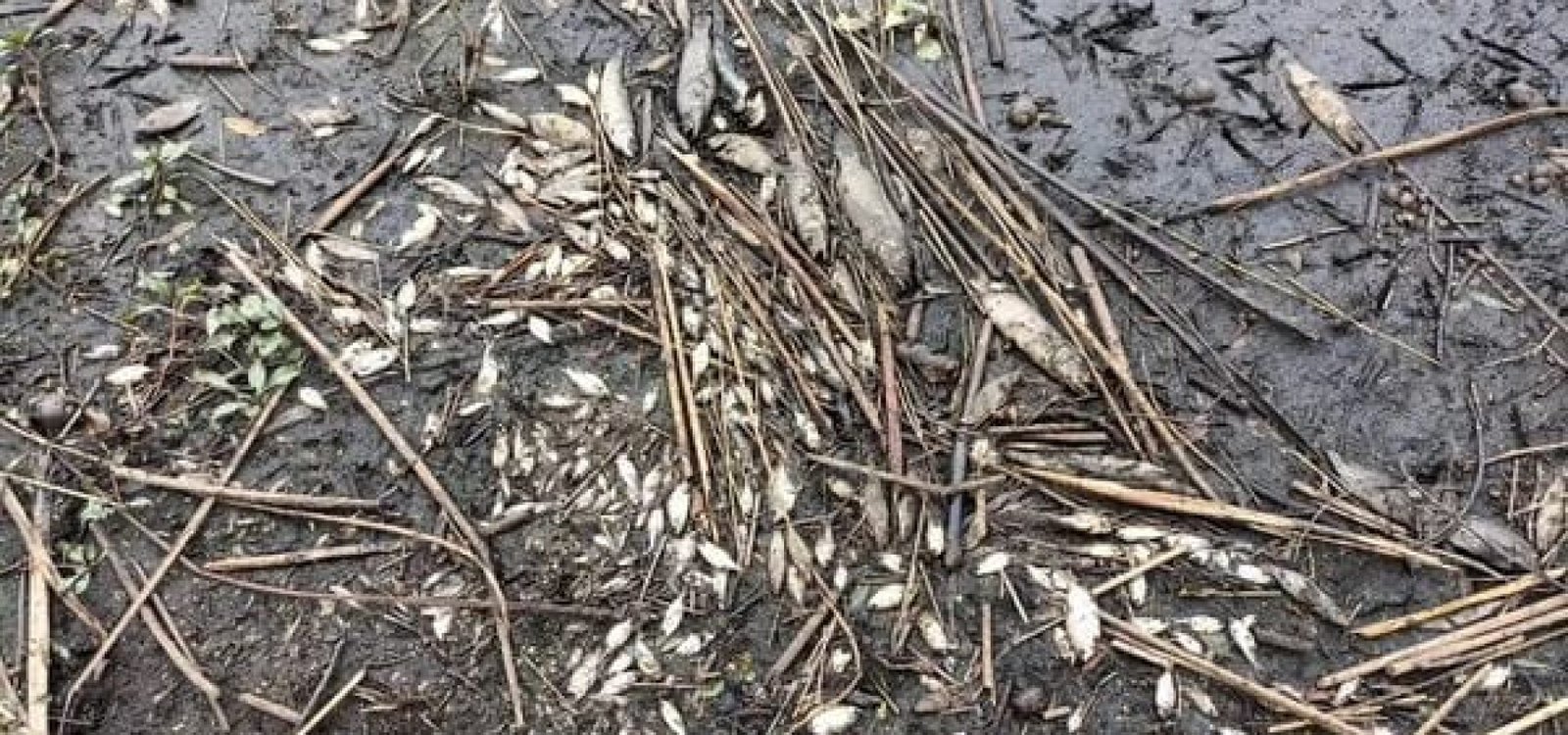 464419927_8265481766883478_2695988787146533061_n