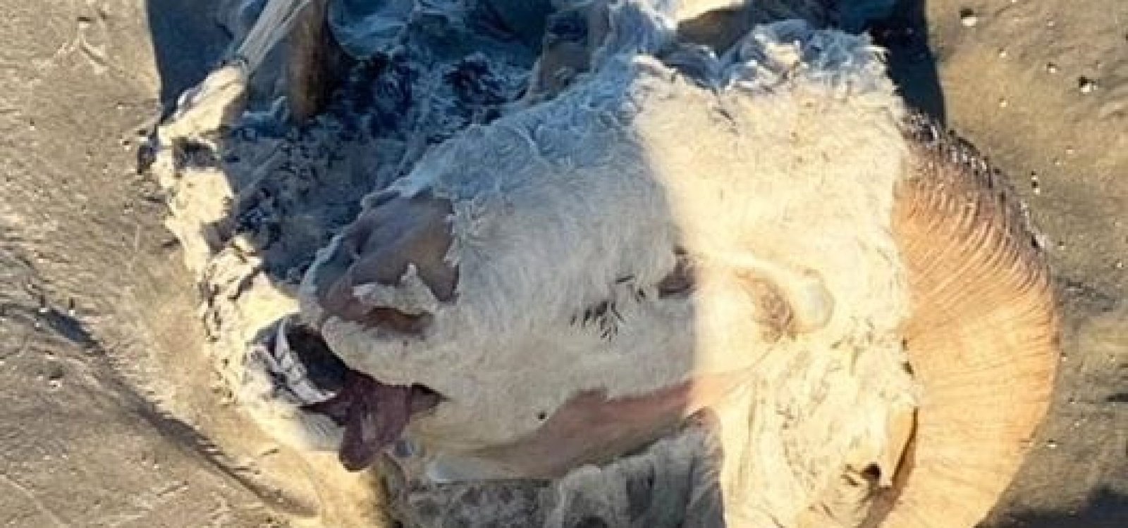 464863102_8289931137771874_4443003932151759161_n