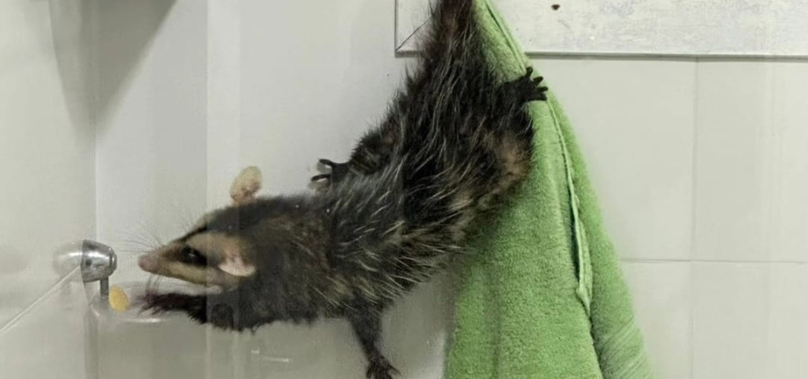 468717479_8522227581208894_9053524817603904215_n