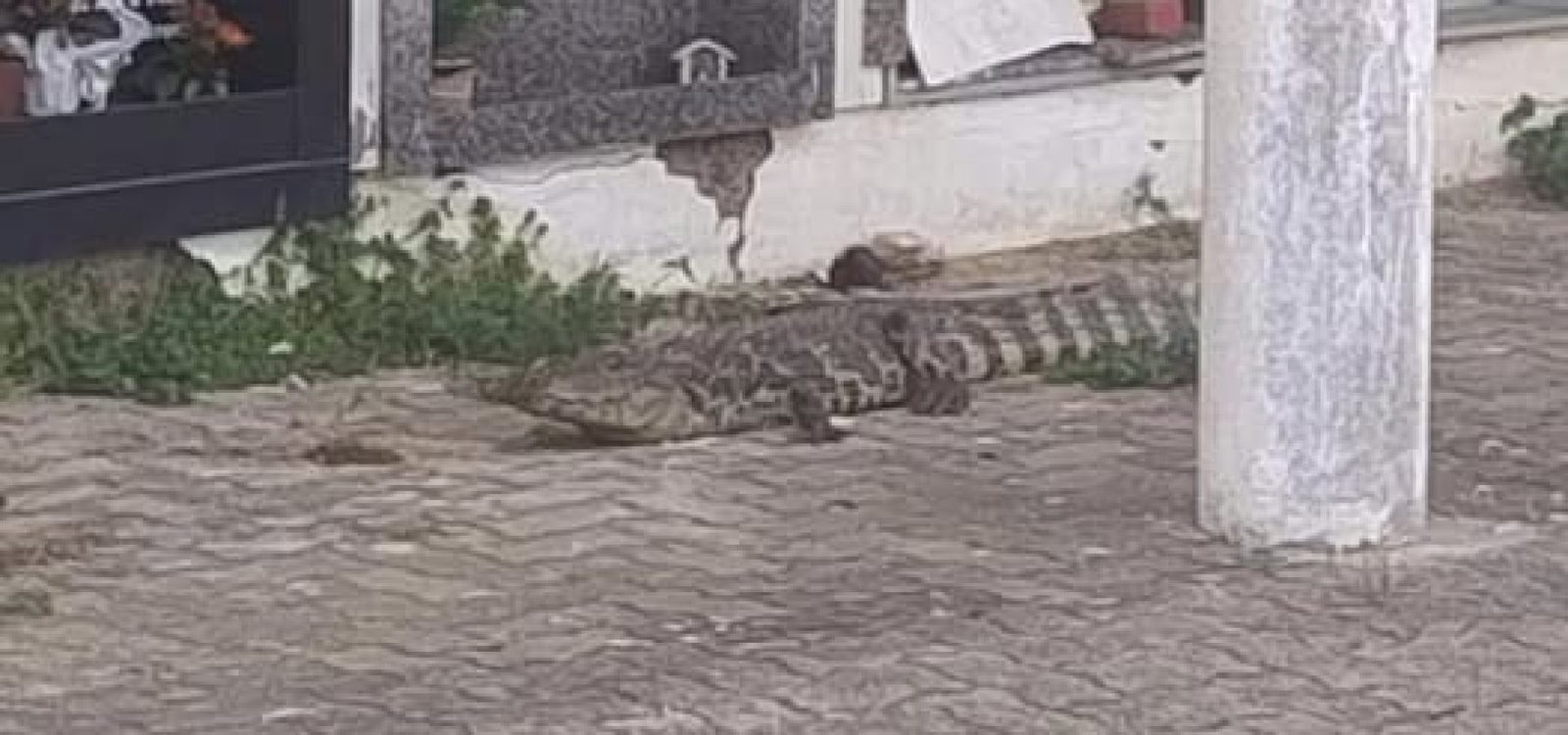 470683991_8637867632978221_8296337293500379018_n