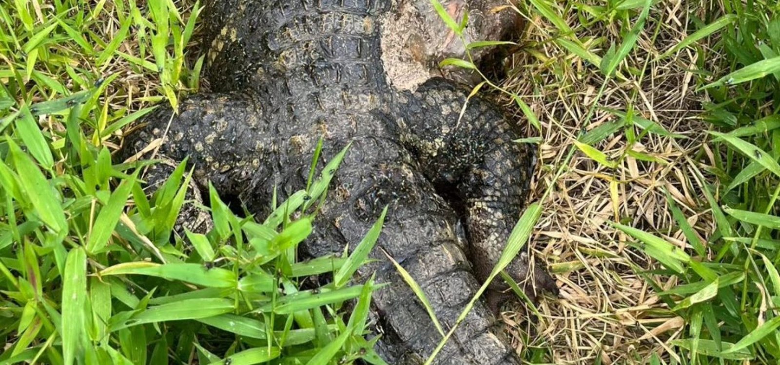 470801804_8643295819102069_6264801215079402545_n