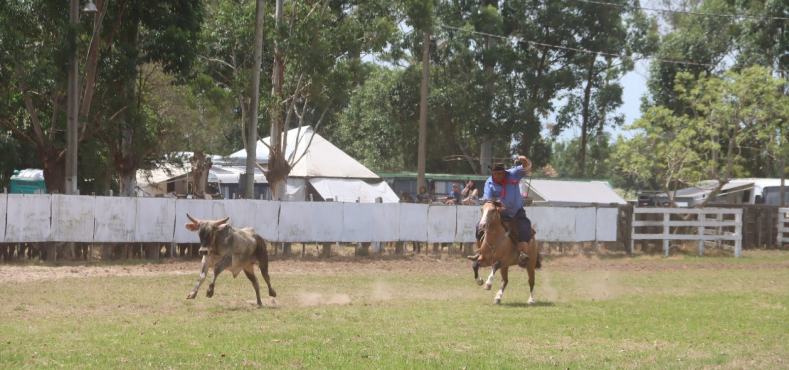 480158002_1045458660956034_1301897797505161143_n