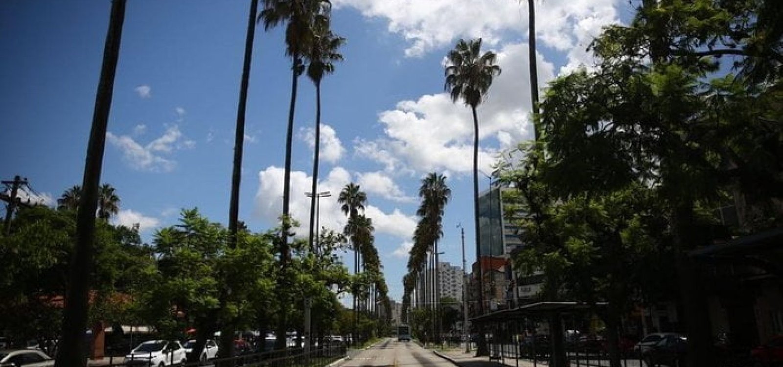 4865597_6455510294122f2