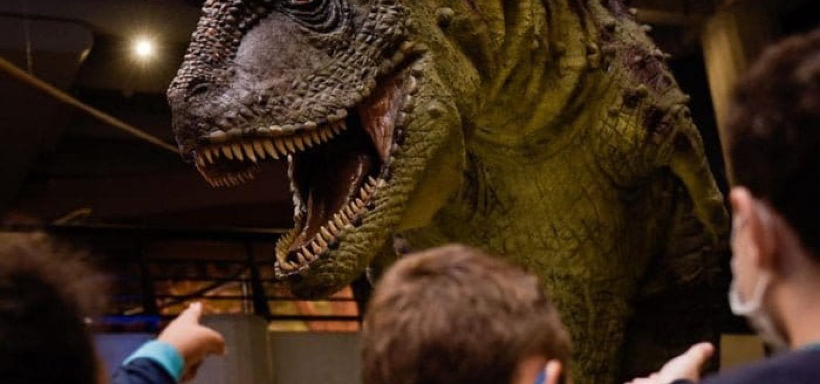 Atividades são pensadas por um grupo de profissionais da Química, Física e Biologia.
Arquivo ASCOMPUCRS / MCT-PUCRS / Divulgação