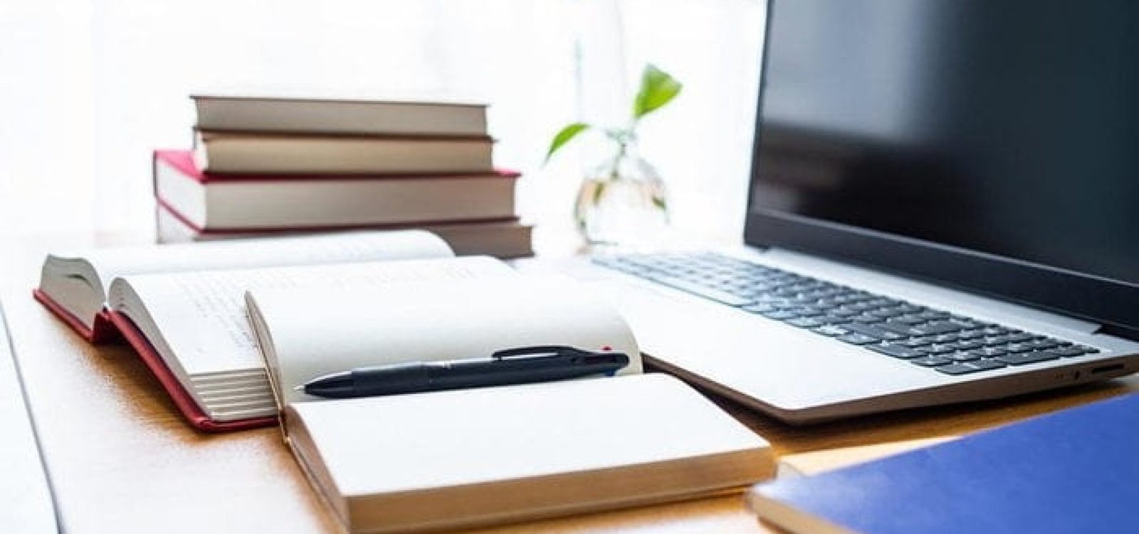 Aulas serão realizadas em uma plataforma online, com encontros semanais.
WR.LILI / stock.adobe.com