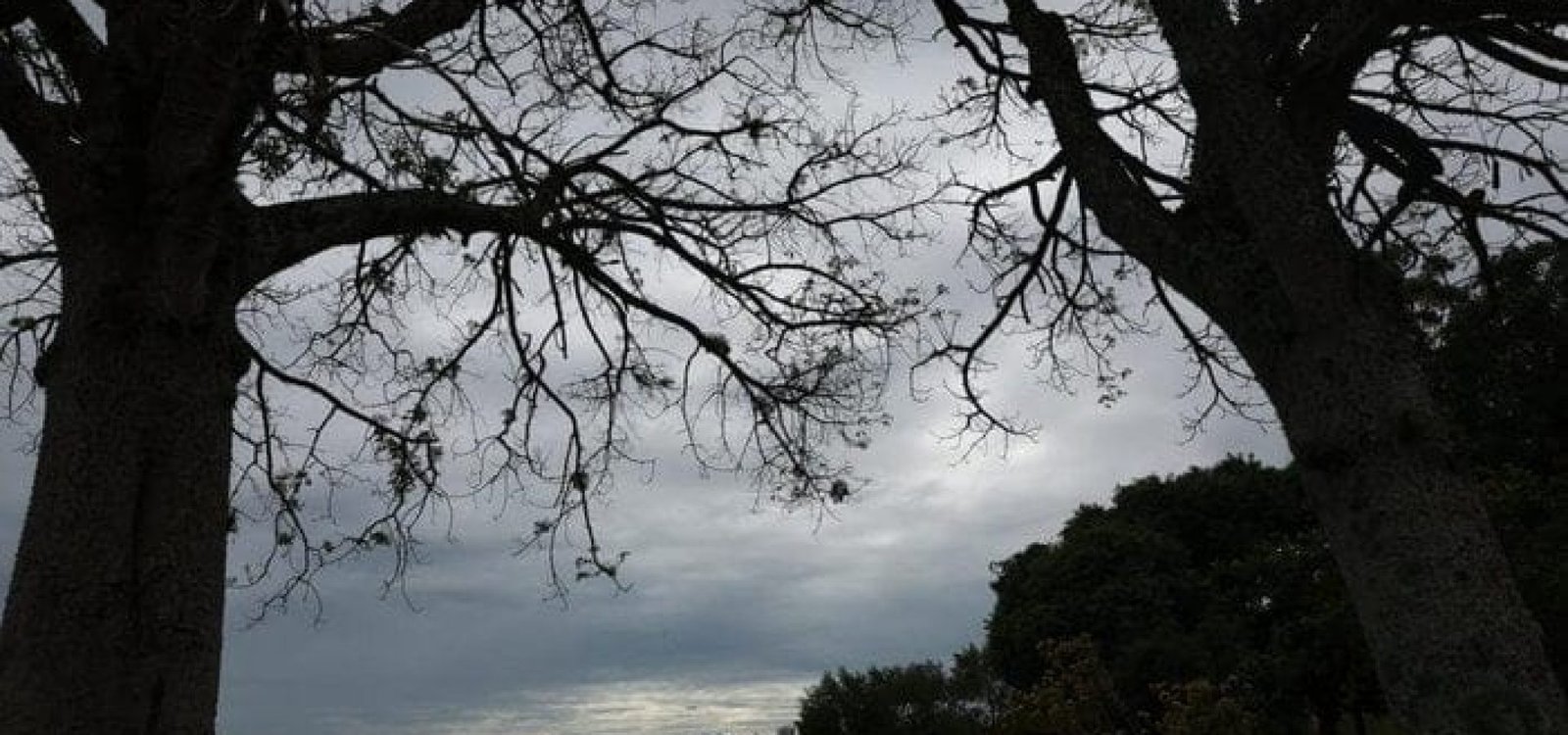 Em Porto Alegre, os termômetros flutuam entre 20ºC e 26ºC.
Jonathan Heckler / Agência RBS