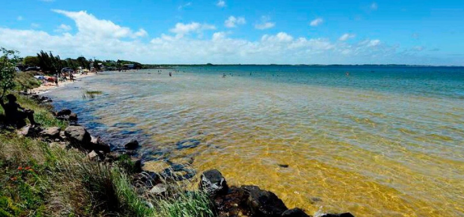 49652868_2245002072210659_8357005733715247104_n-1536x961