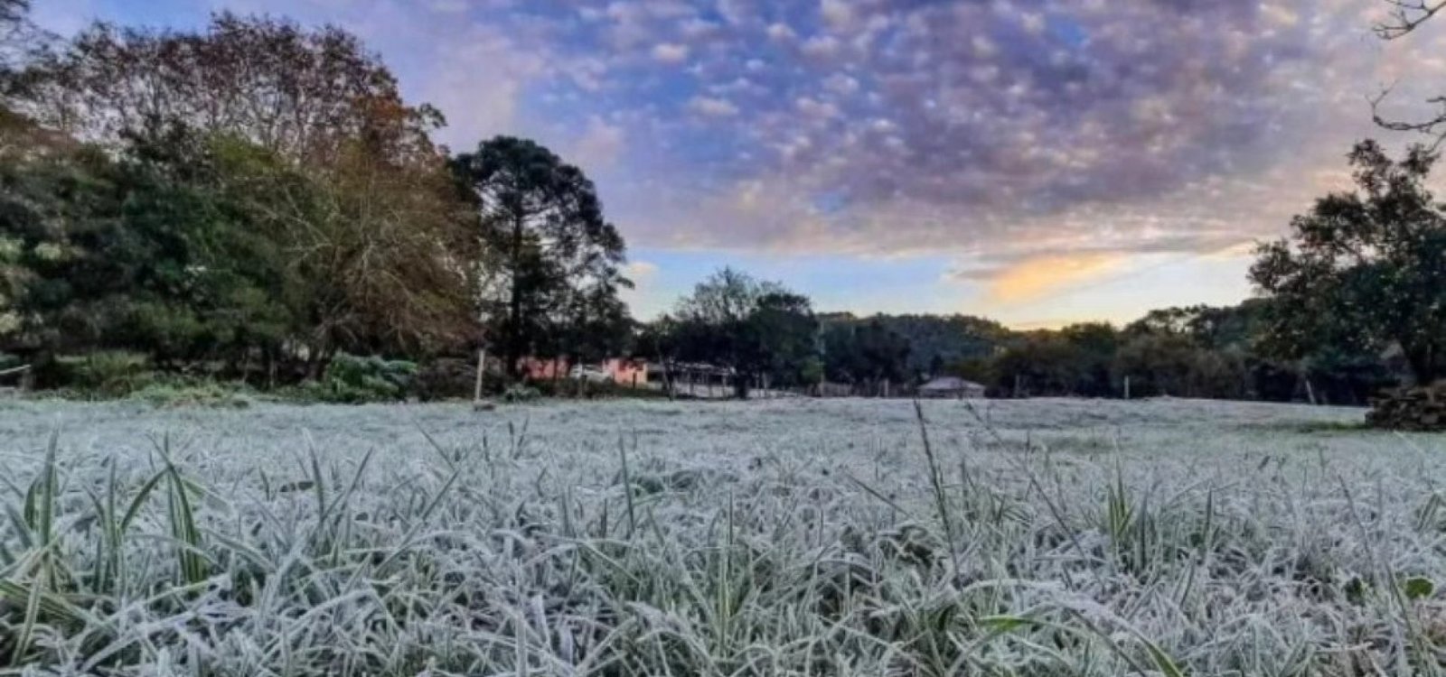 499856080_9566205303477778_6005041091201211947_n