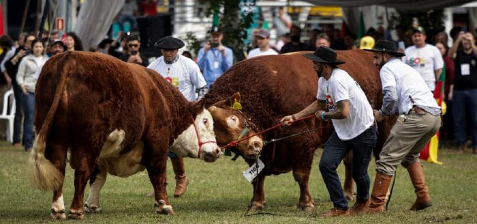 Pelo menos três peões precisaram atuar para apartar a briga.
Mateus Bruxel / Agencia RBS