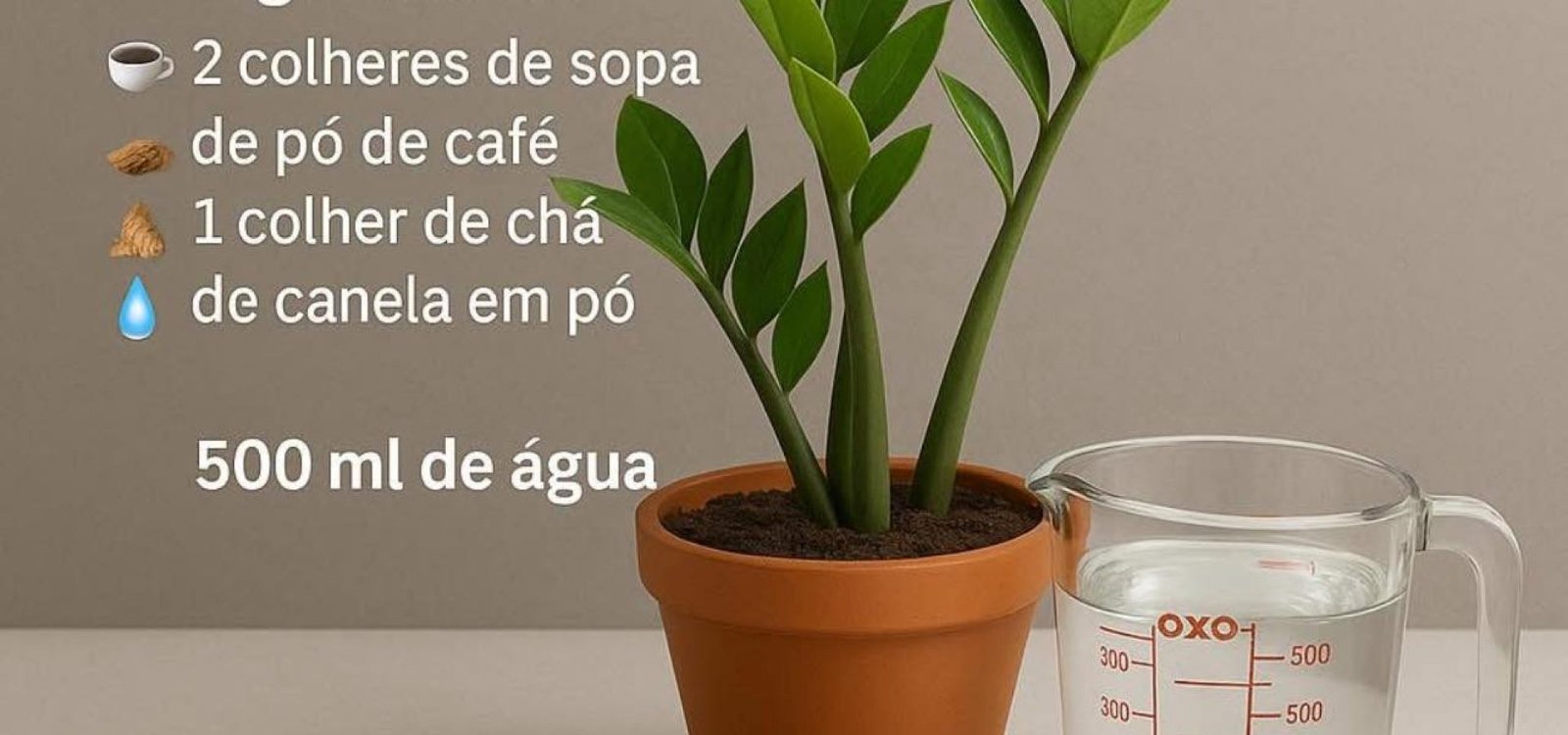 502961219_1507203787278227_7547960387205341040_n