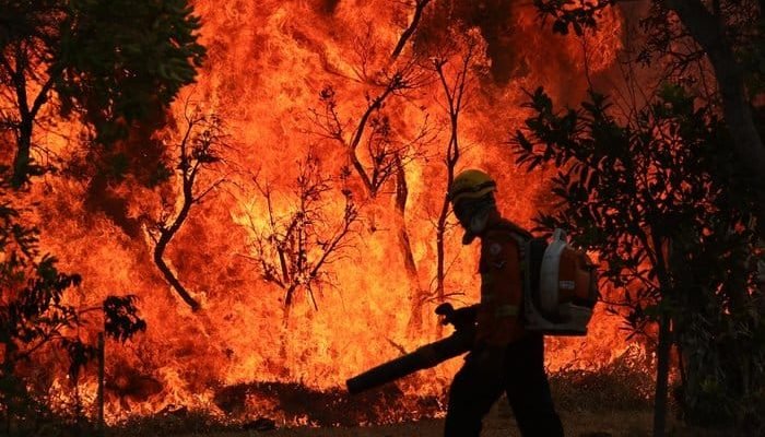 Parque Nacional de Brasília é atingido por incêndio desde o fim de semana.
Fabio Rodrigues-Pozzebom / Agência Brasil